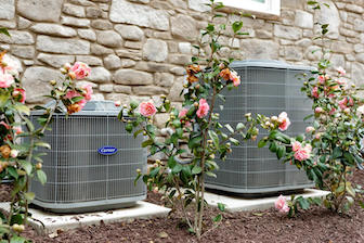 two Carrier air conditioning unit behind rose bushes
